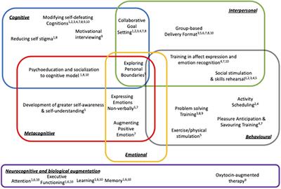 Splitting Things Apart to Put Them Back Together Again: A Targeted Review and Analysis of Psychological Therapy RCTs Addressing Recovery From Negative Symptoms
